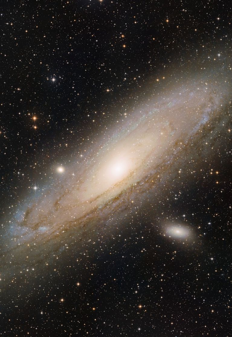 M31